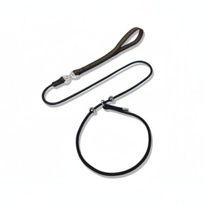 41a6943d-37f0-4faf-98db-712630486729 Professional Anti-pulling and Anti-tangling Dog Training P-chain Leash for Small Dogs and Puppies - Competition Level