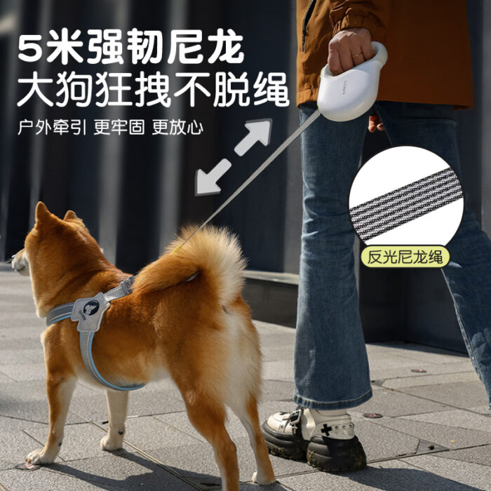 Retractable Dog Leash - For Small & Medium Dogs (Teddy, Pomeranian, Corgi, Shiba Inu) | Pet Walking Rope