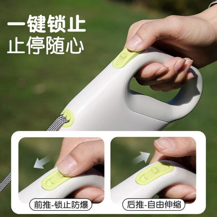 Retractable Dog Leash - For Small & Medium Dogs (Teddy, Pomeranian, Corgi, Shiba Inu) | Pet Walking Rope