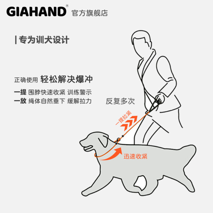 GIAHAND P-Chain Dog Leash for Small & Medium Dogs - Anti-Pull, Professional Training & Show-Quality