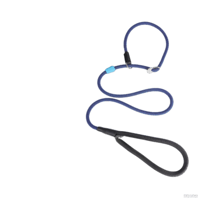 GIAHAND Anti-Pull P-Chain for Large & Medium Dogs - 10mm Thickened, Anti-Hair Pinching, Professional Training Dog Leash