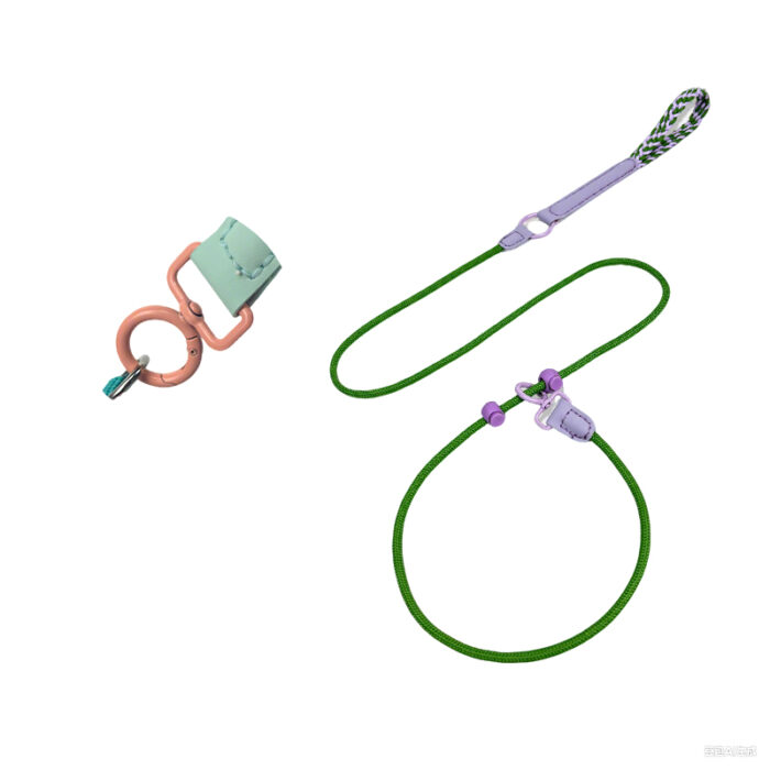 Multifunctional Anti-pulling P-chain Dog Leash with High Appearance Level - Ideal for Training Small and Medium-sized Dogs