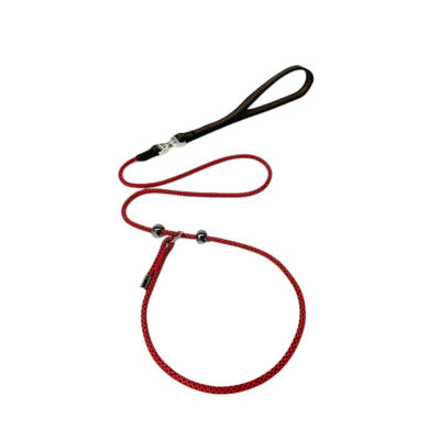 图片抠图 (333) Show-Grade P-Chain Dog Leash - Anti-Pull & Anti-Tangle, for Large & Small Dogs | Professional Training P-Rope